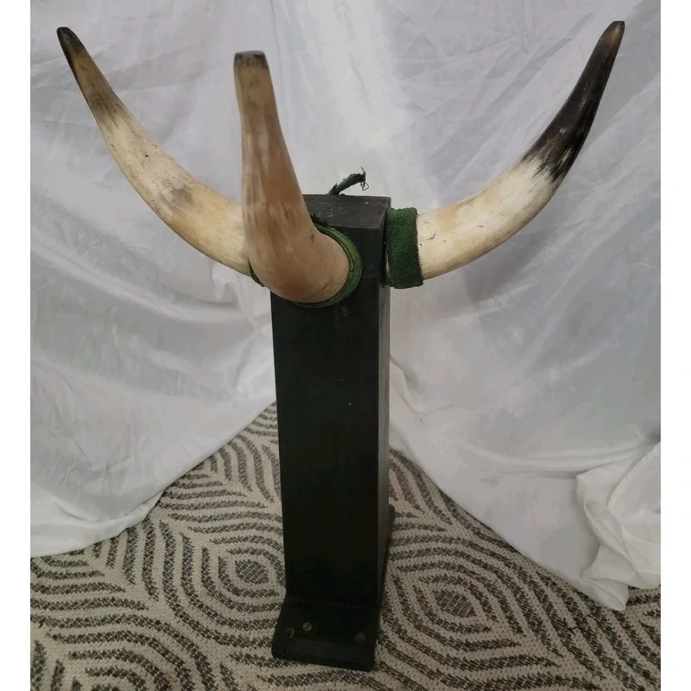 Vintage Bull Horns‎ Display Mount | Large Rustic Western Decor 🤠